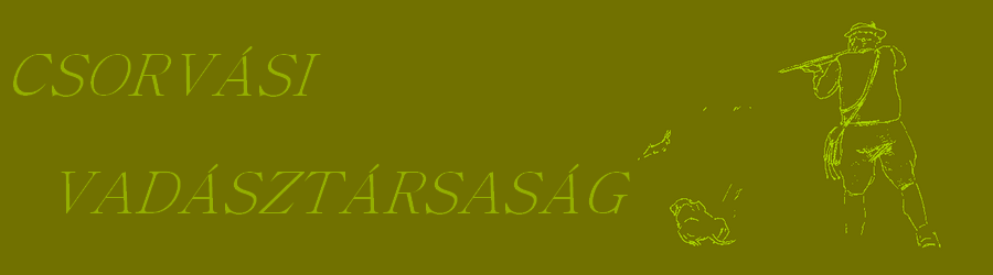 Csorvási Vadásztársaság